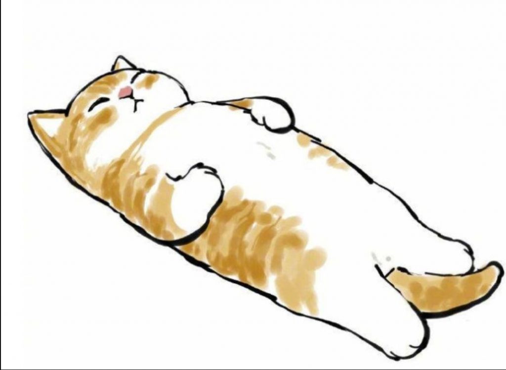 Cat lying flat